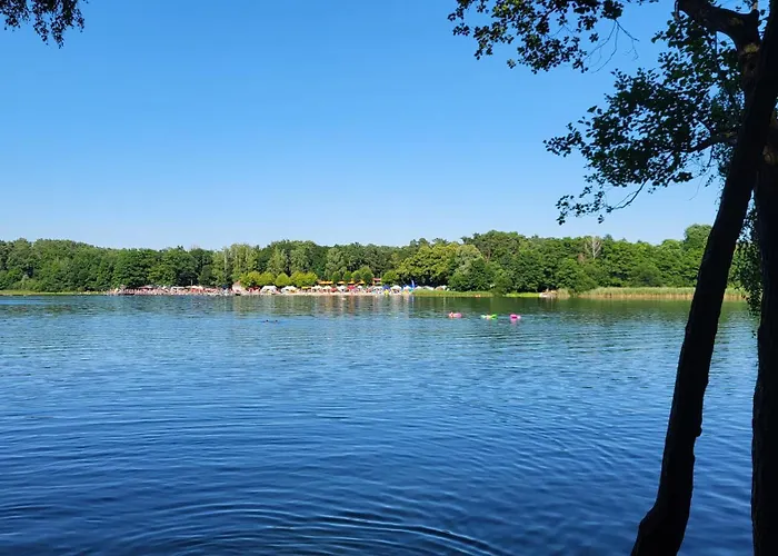 Finnhuette Zwischen Wald Und See