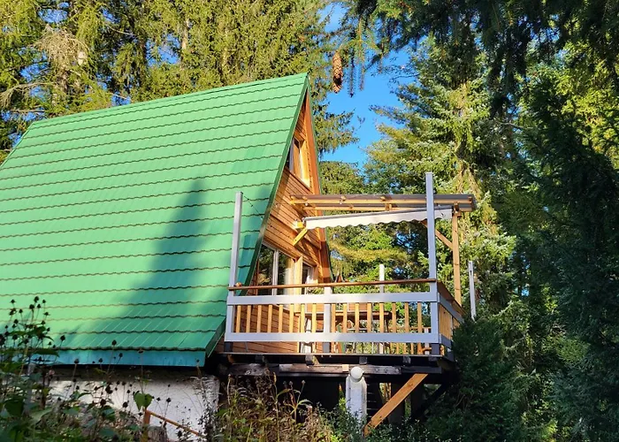 Finnhuette Zwischen Wald Und See