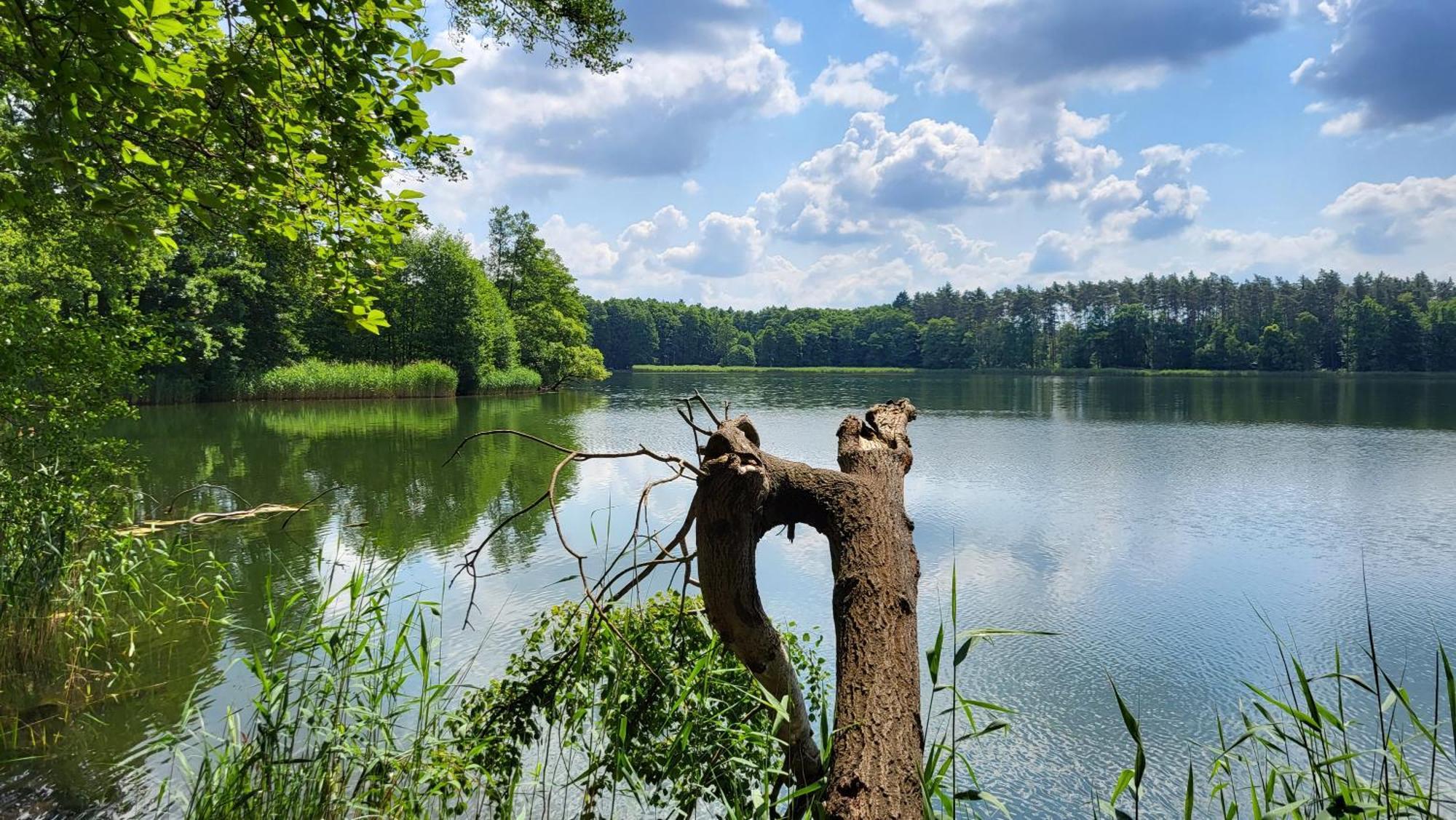 Finnhuette Zwischen Wald Und Biesenthal