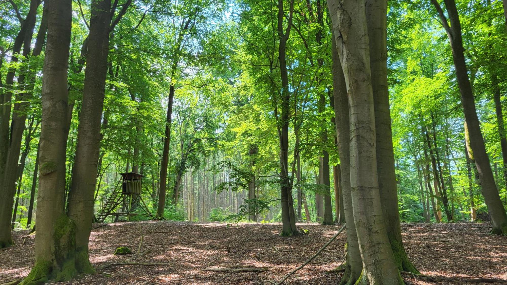 Holiday home Finnhuette Zwischen Wald Und Biesenthal