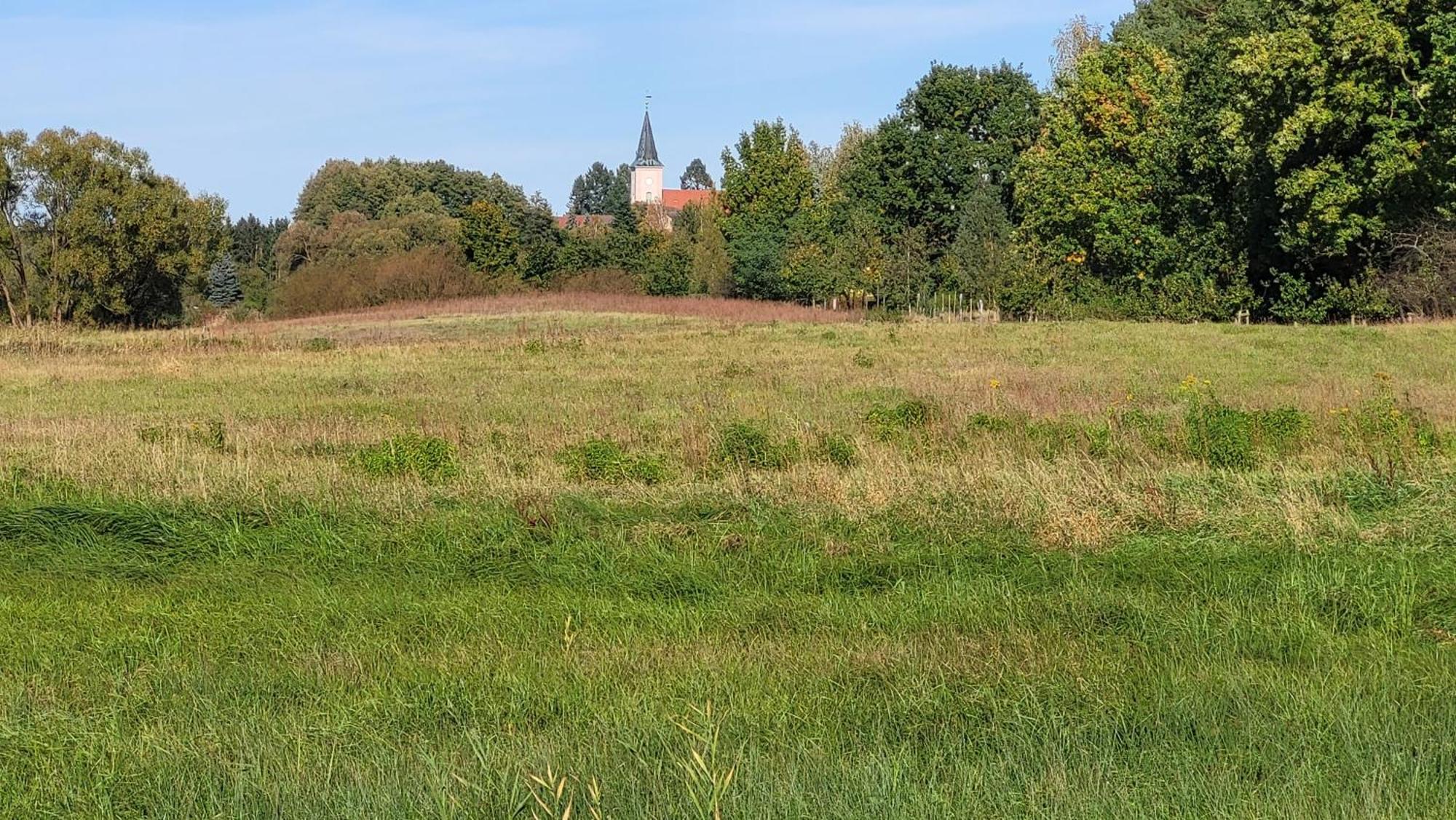 Finnhuette Zwischen Wald Und Holiday home Biesenthal