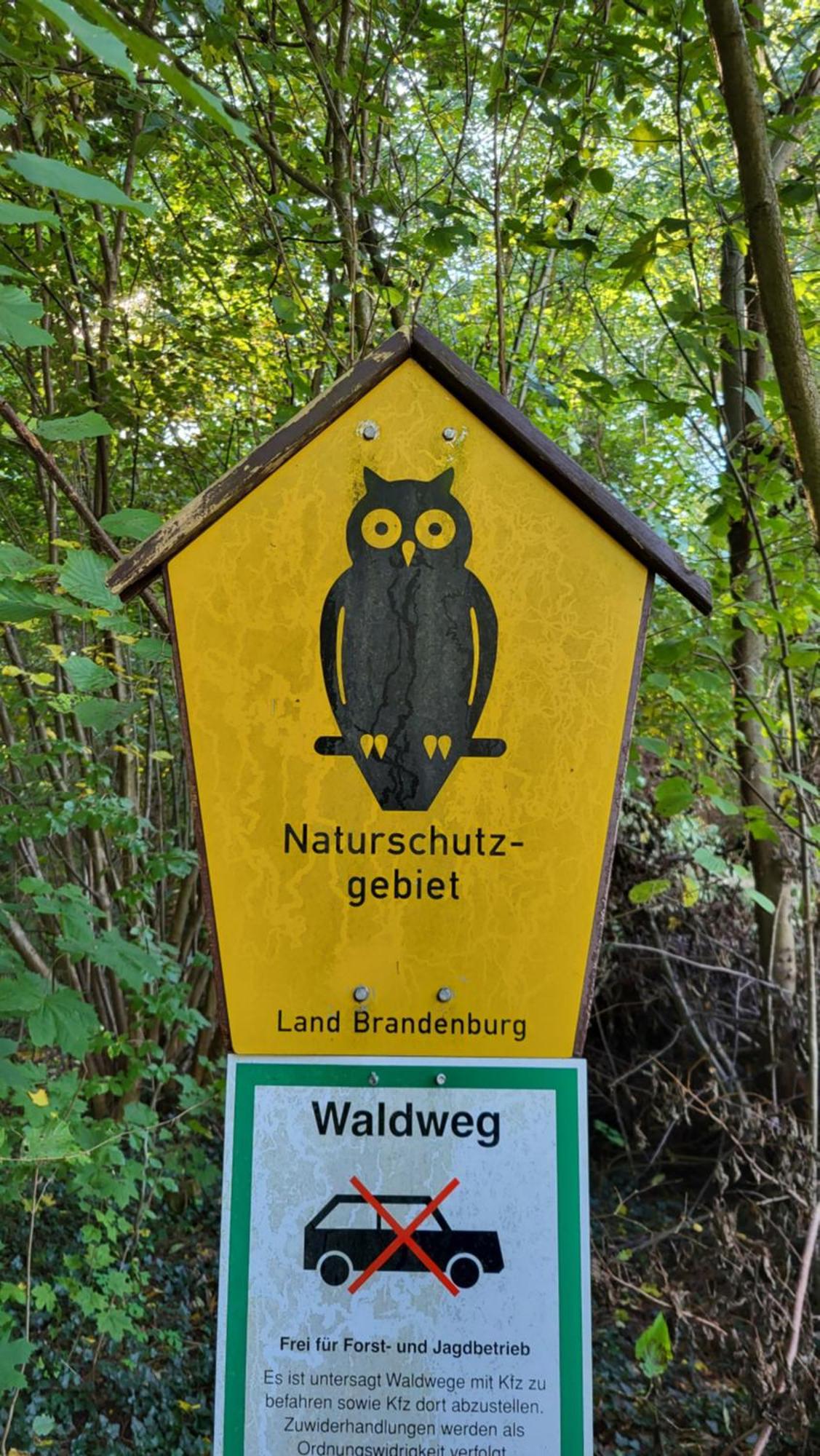 Finnhuette Zwischen Wald Und * Biesenthal